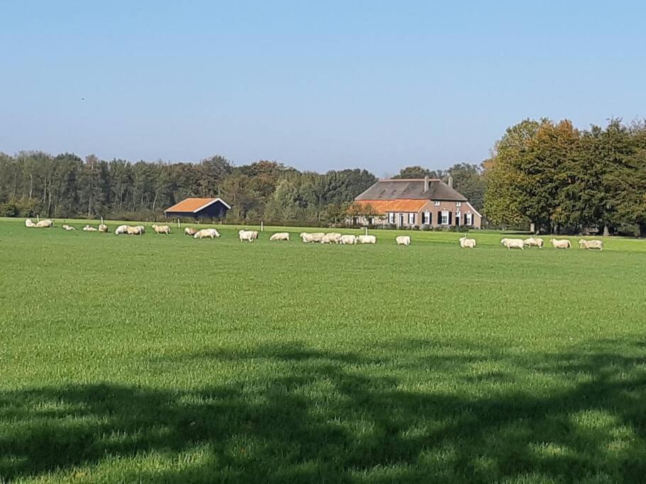 B&B Joostink In Vorden Eksteriør bilde